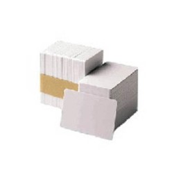 Zebra Premier Card, safety print