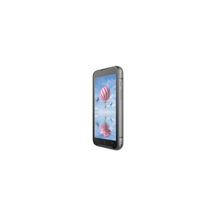Bluebird EF551, 2D, SE4710, 14 cm (5.5''), hot-sw | Alph.pl