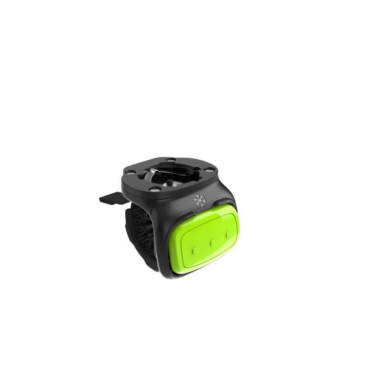 Zebra Trigger, Large Size
