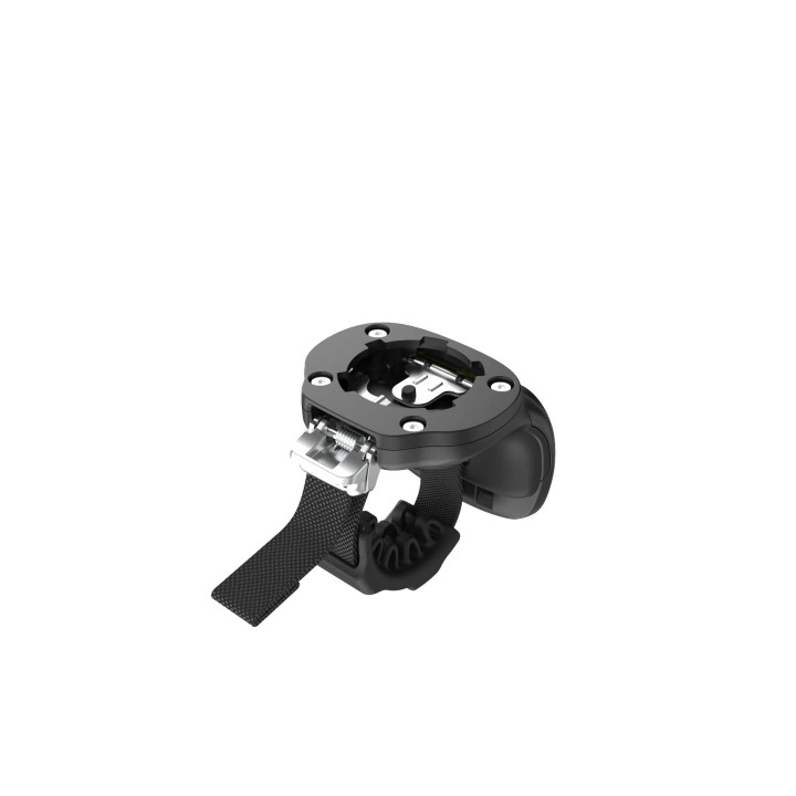 Zebra Trigger, Large Size